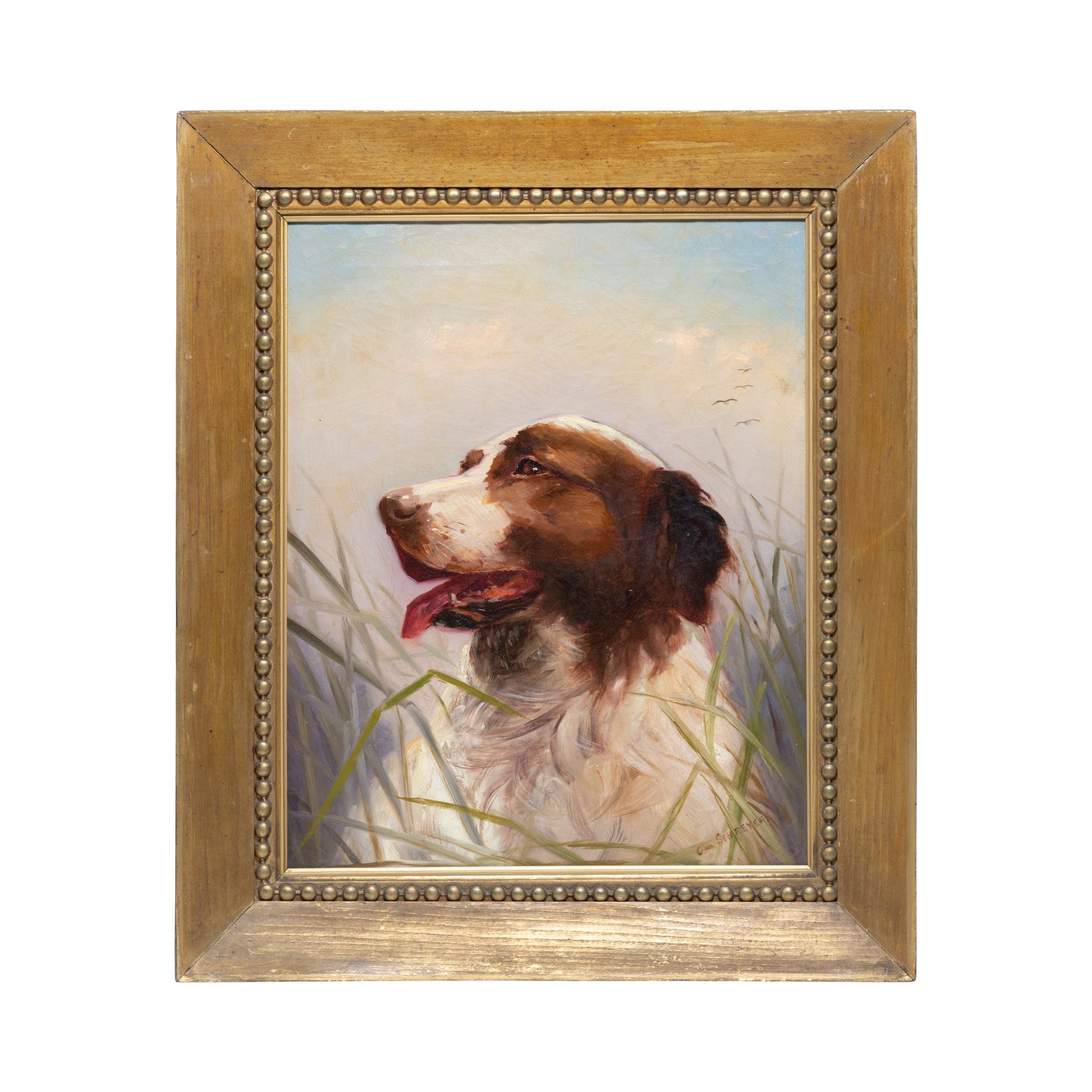 Sporting Portrait of Dog by Claudius Schreyer
