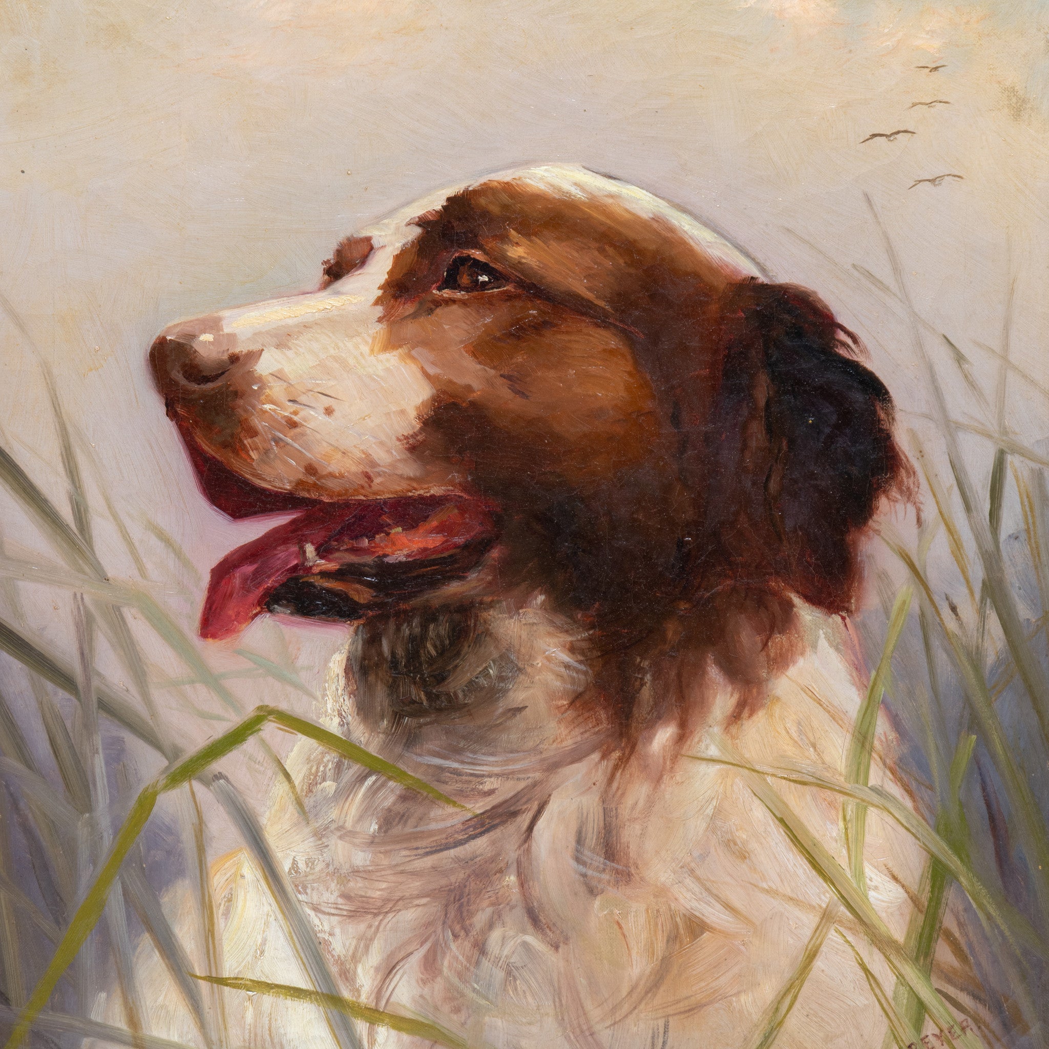 Sporting Portrait of Dog by Claudius Schreyer