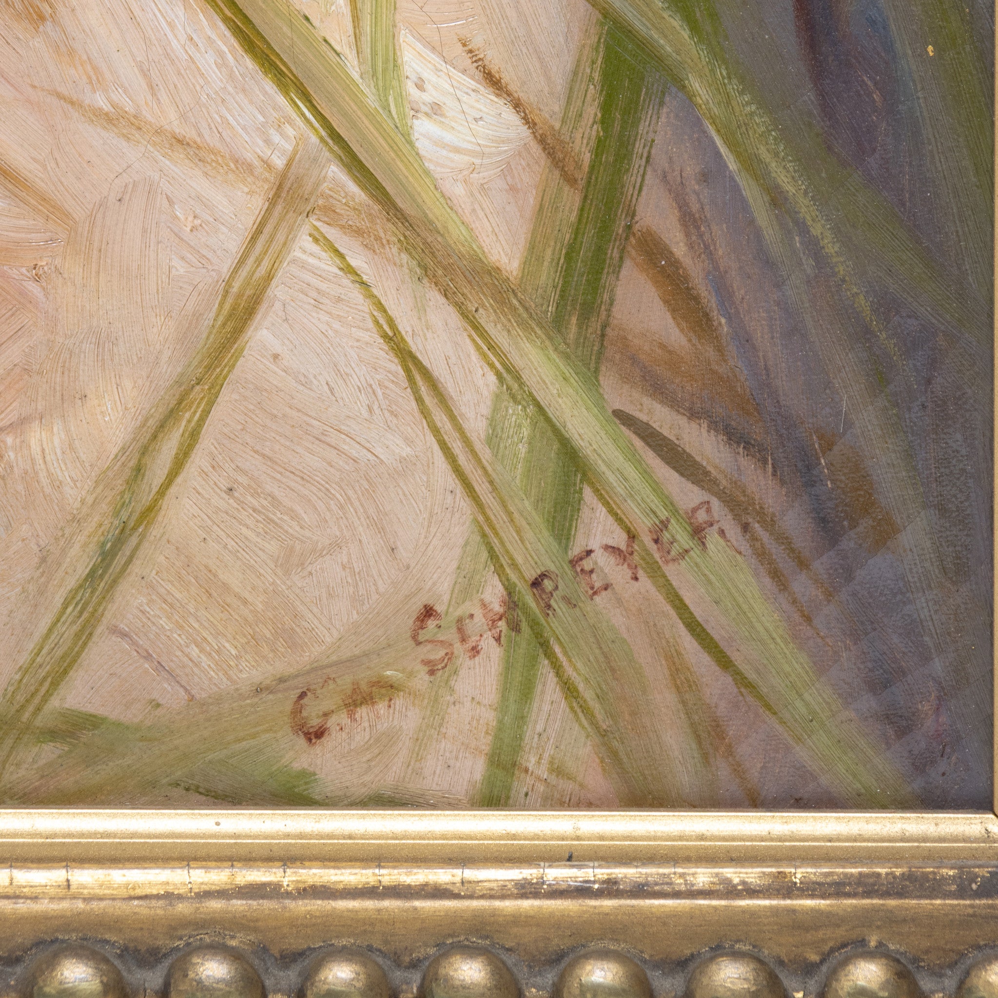 Sporting Portrait of Dog by Claudius Schreyer