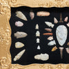 Prehistoric Stone Tools