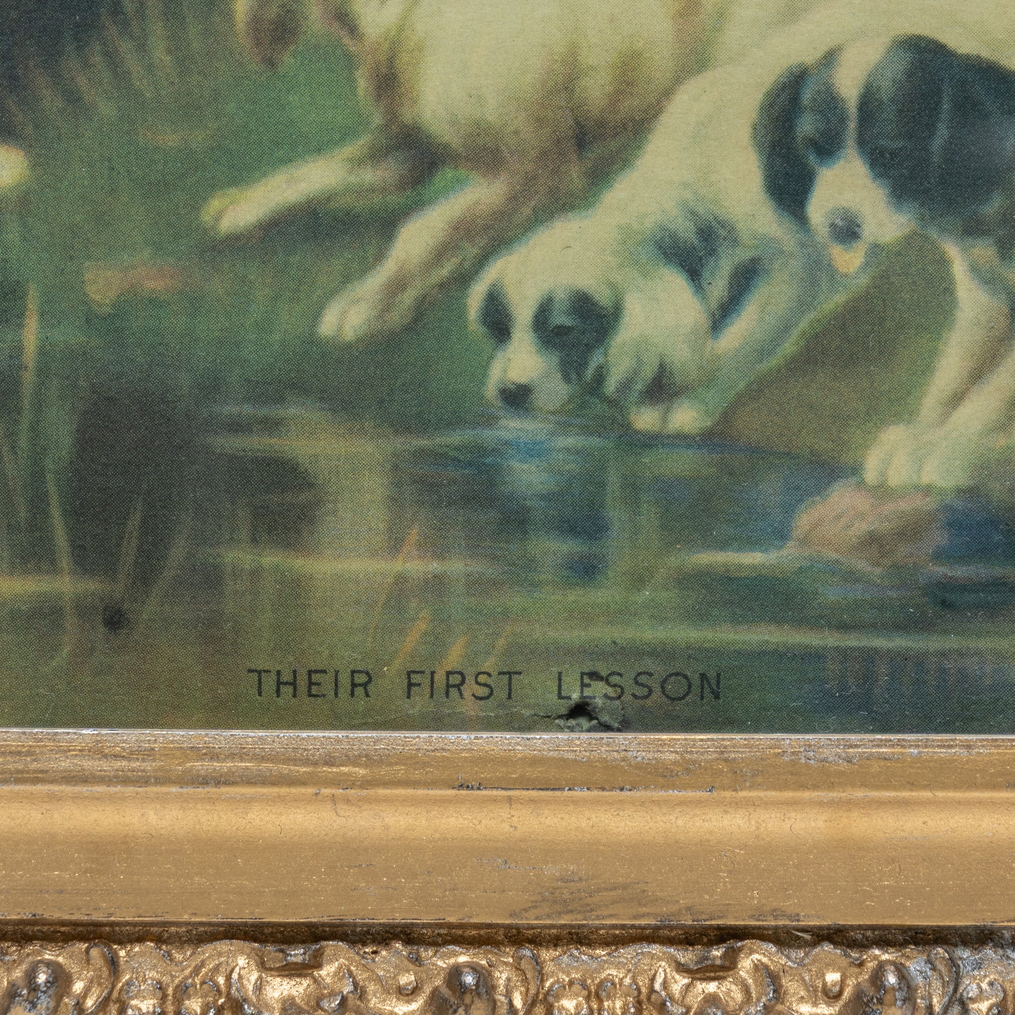 "Their First Lesson" by Andrew Vogt ADE