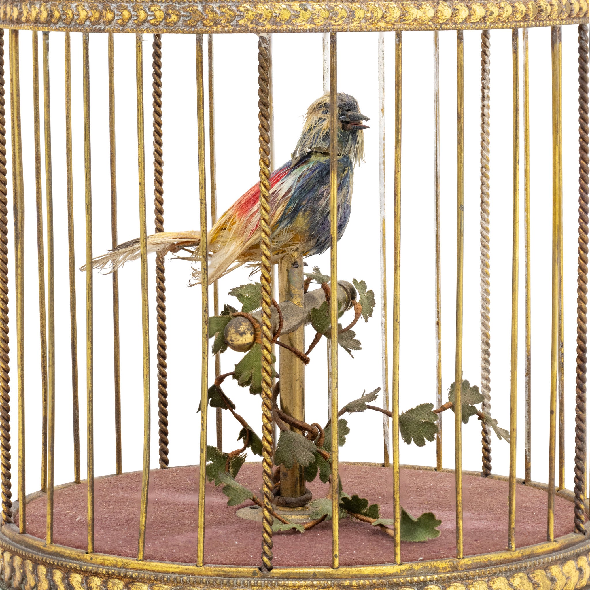 Singing Bird Automatas