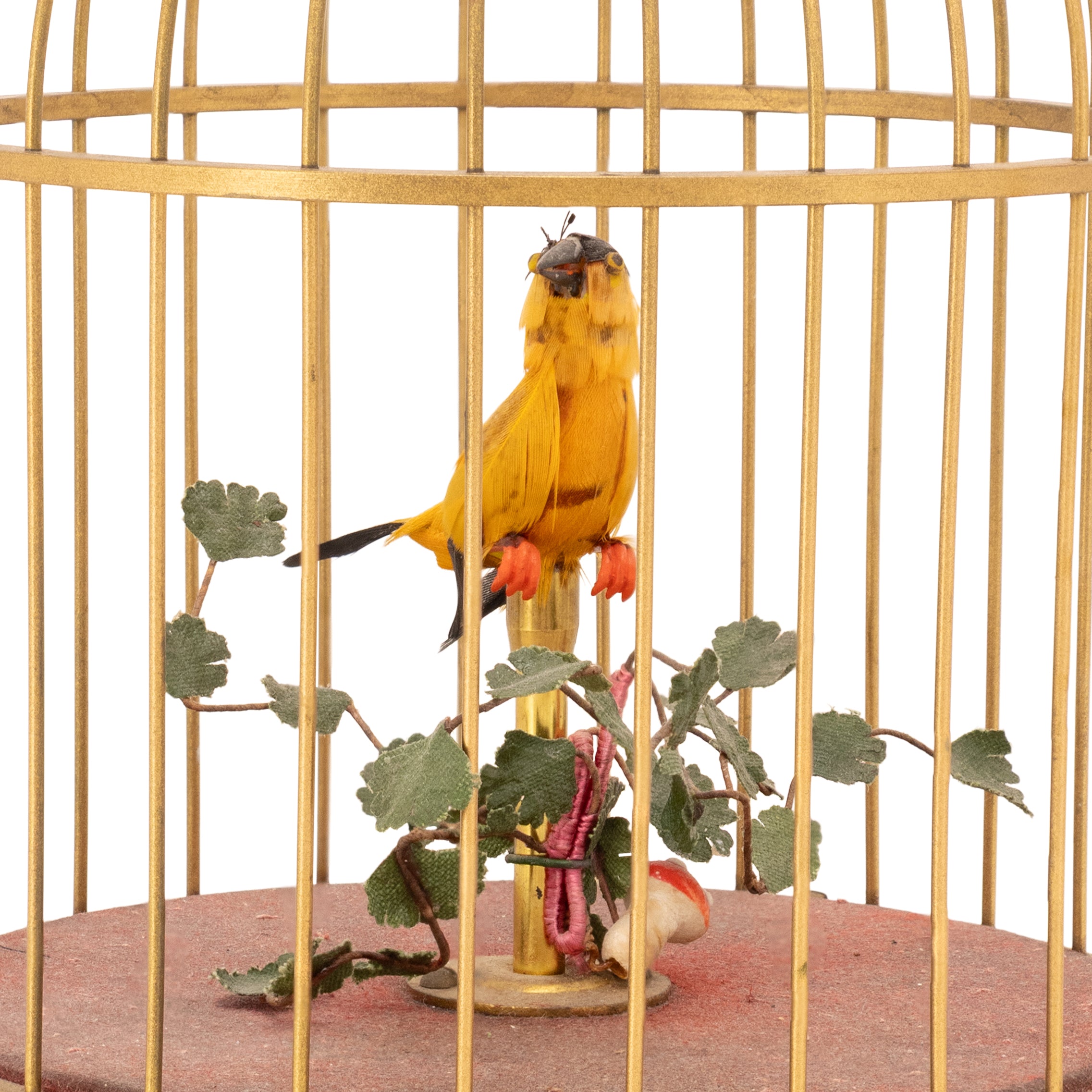 Singing Bird Automatas