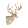 Non-Typical Whitetail Mount