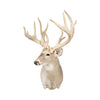 Non-Typical Whitetail Mount