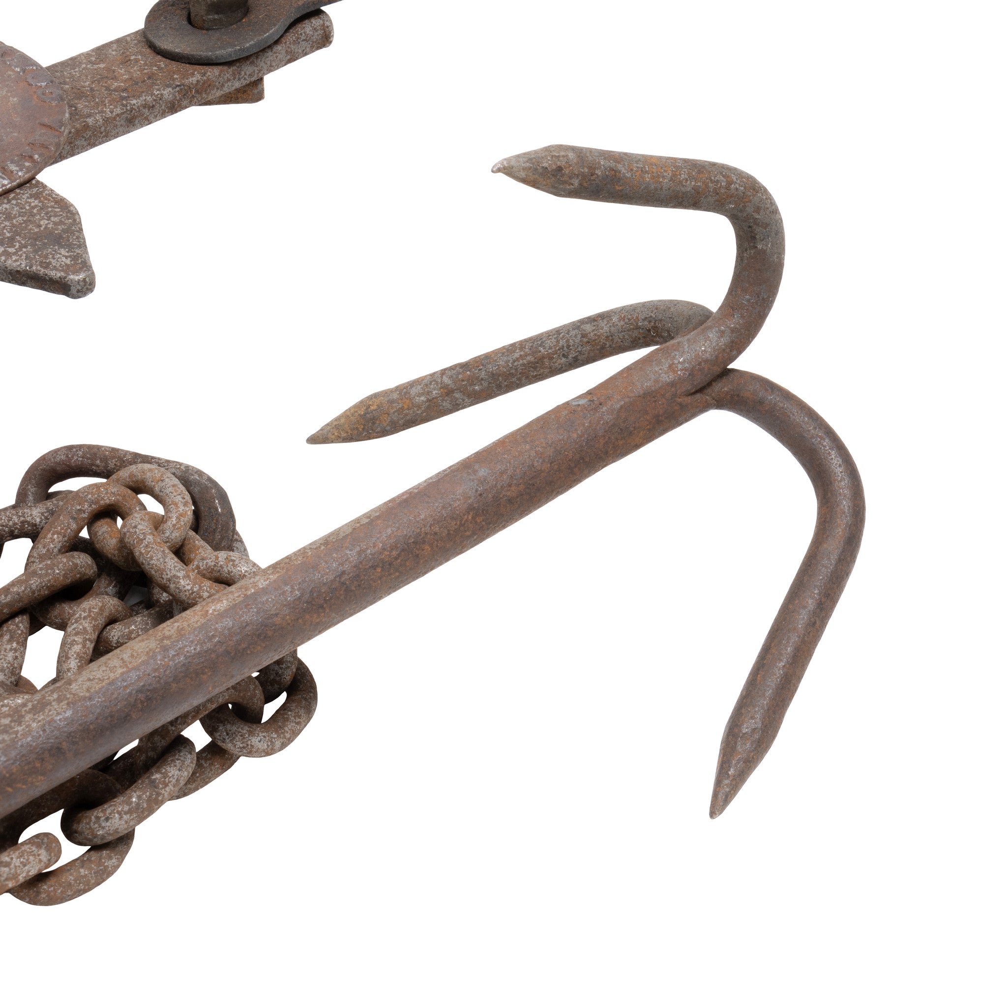 Newhouse No. 5 Bear Trap