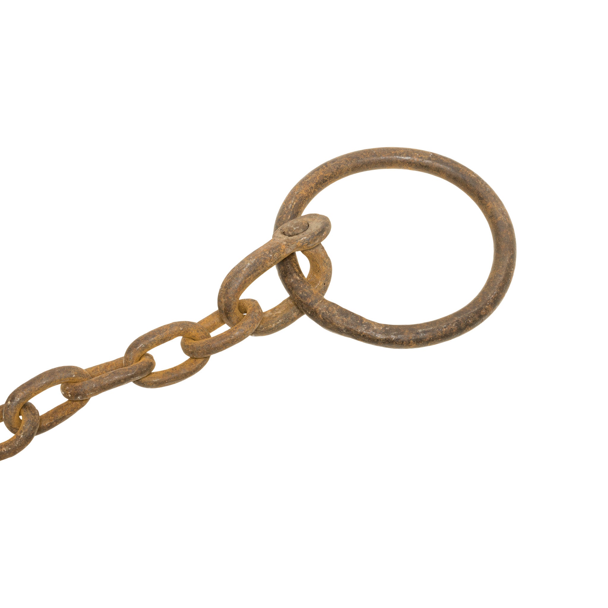 Newhouse No. 15 Bear Trap