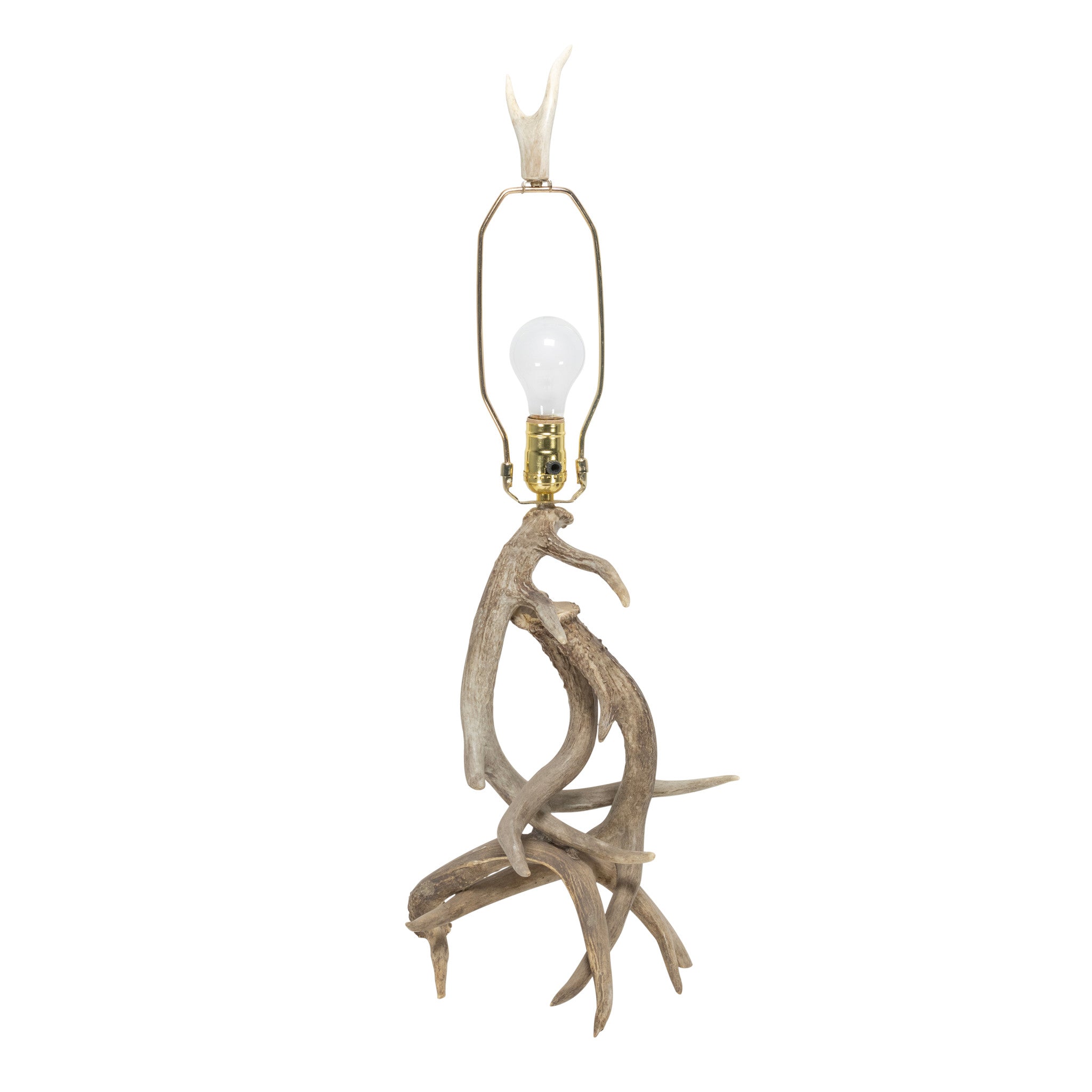 Antler Table Lamp
