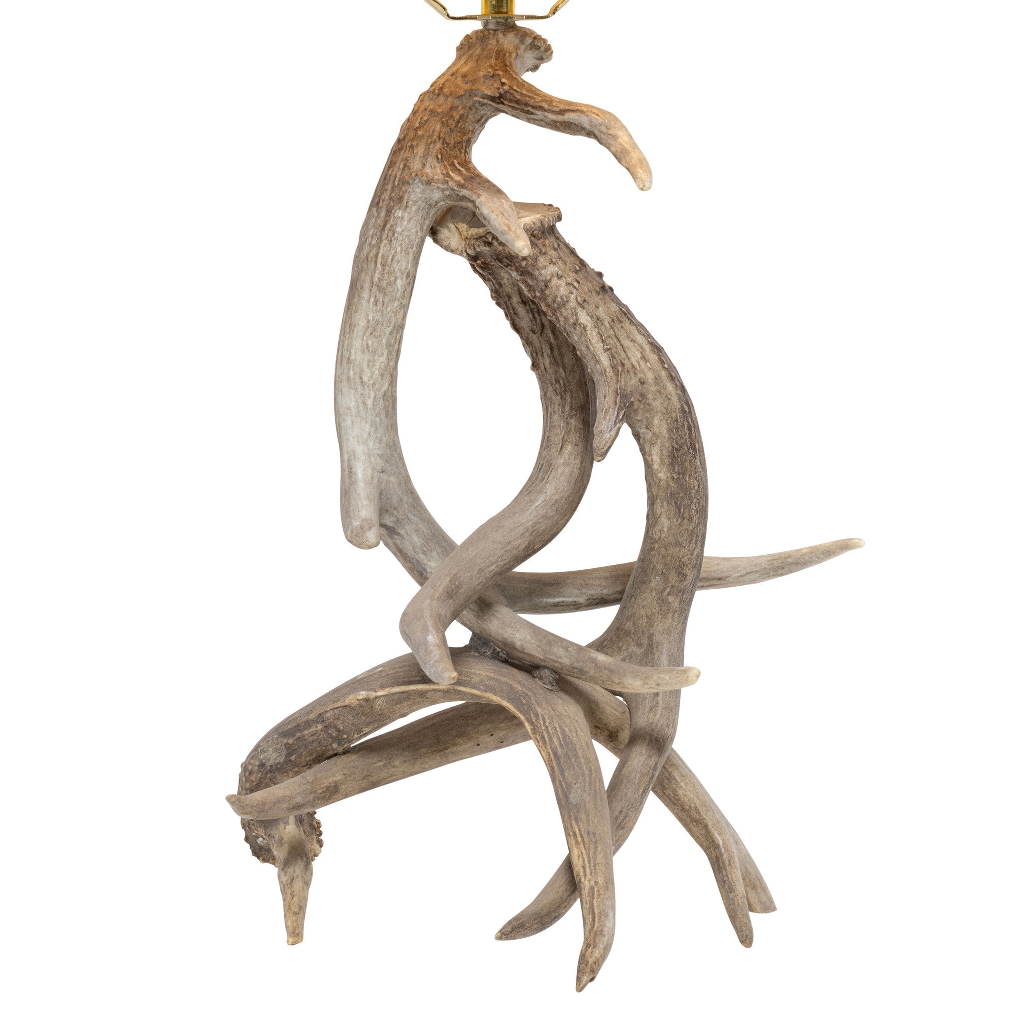 Antler Table Lamp