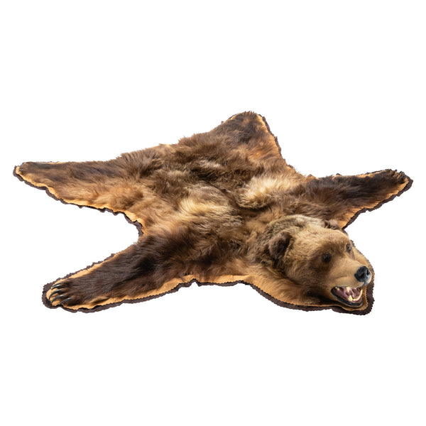 Alaskan Grizzly Rug, Furnishings, Taxidermy, Bear