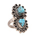 Two-Stone Turquoise Ring, Jewelry, Ring, Native
