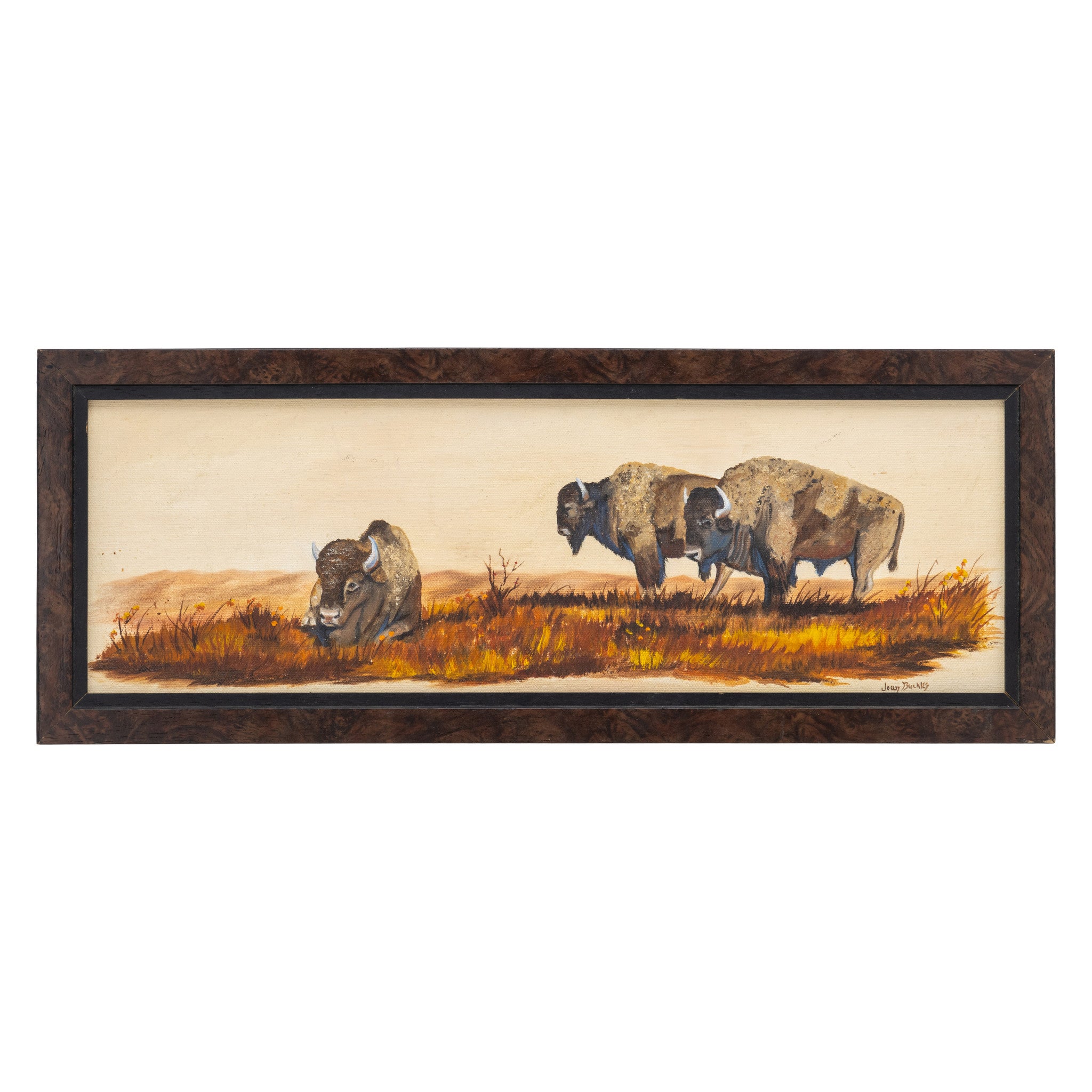Bison by Joan Buckles