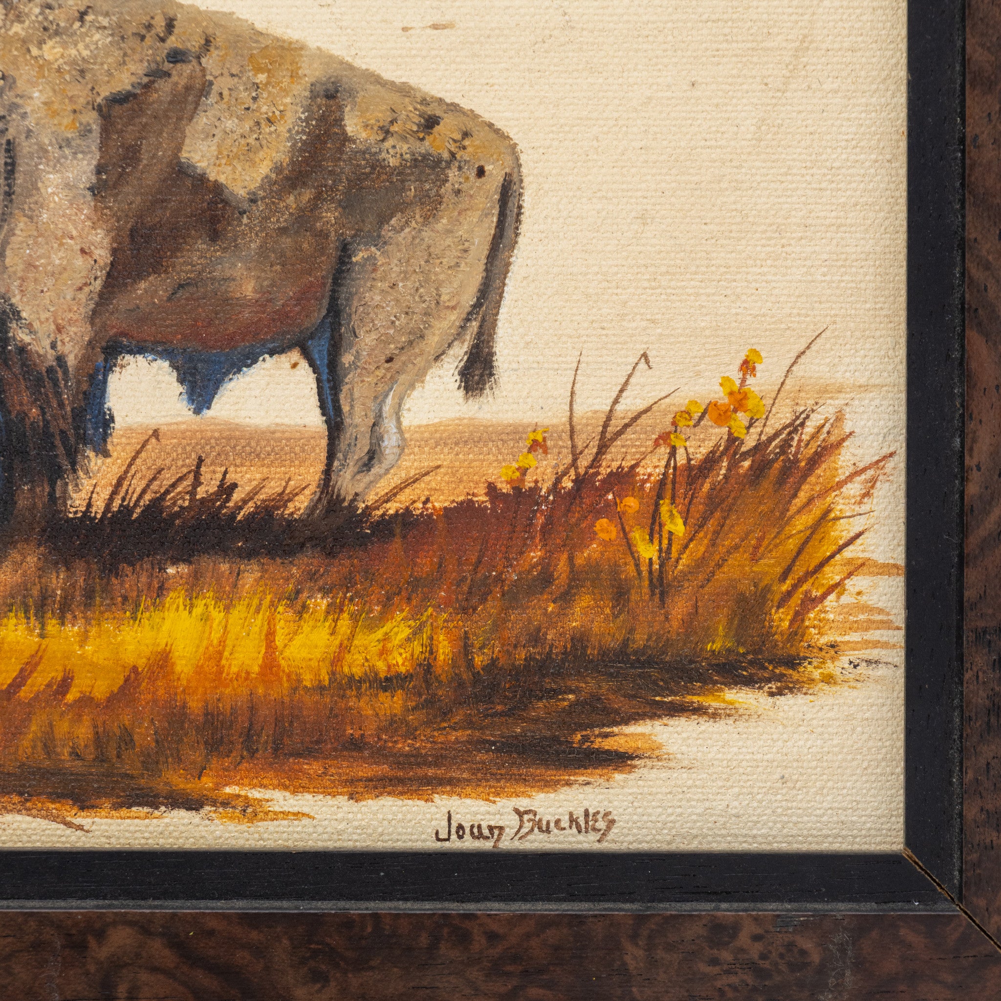 Bison by Joan Buckles