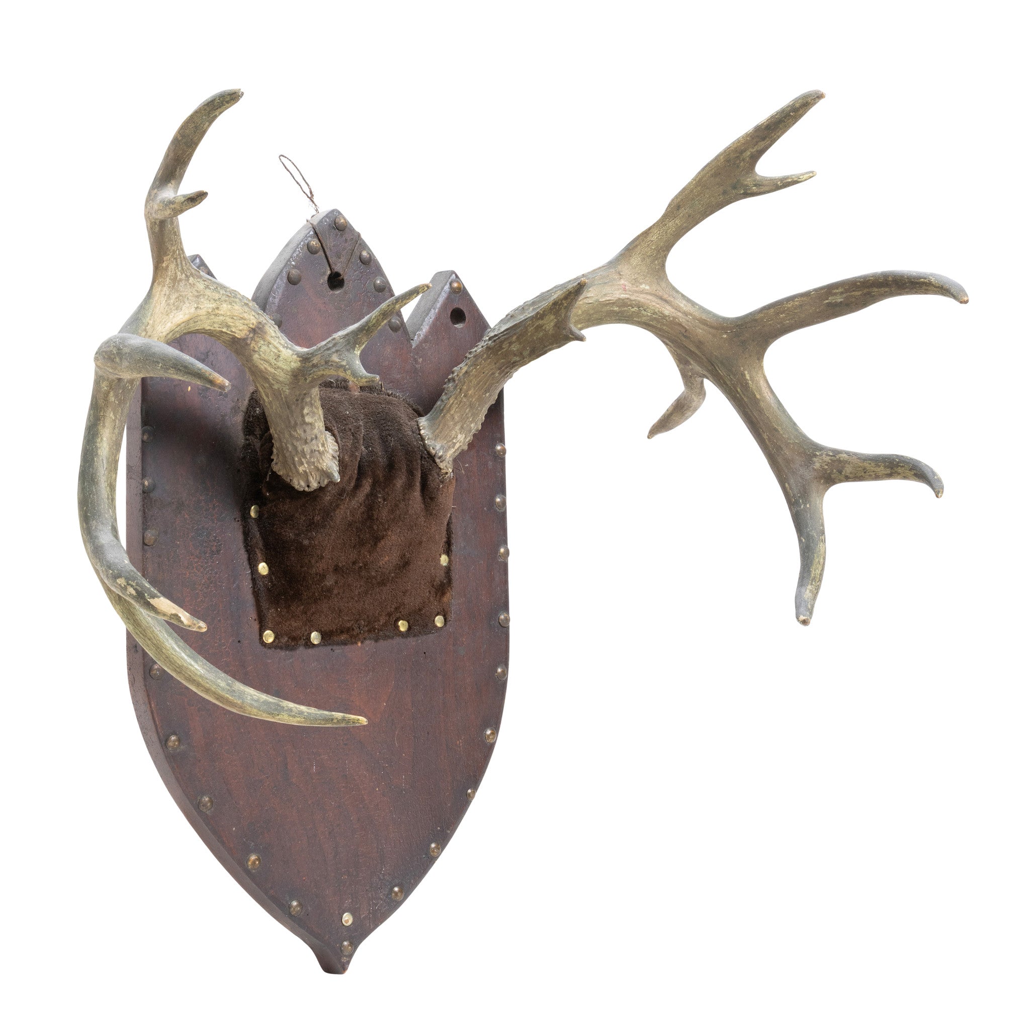 Non-Typical Whitetail Plaque