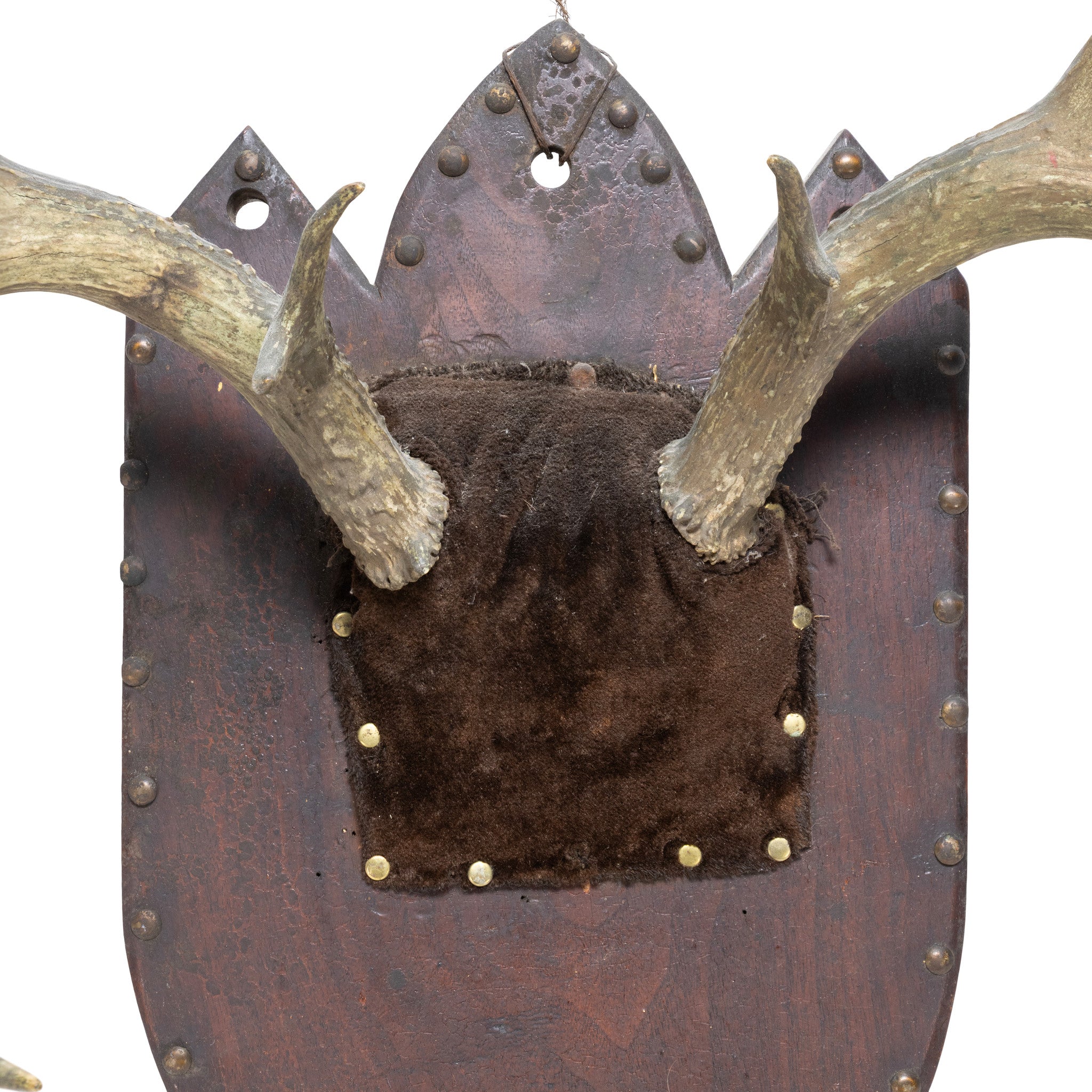 Non-Typical Whitetail Plaque