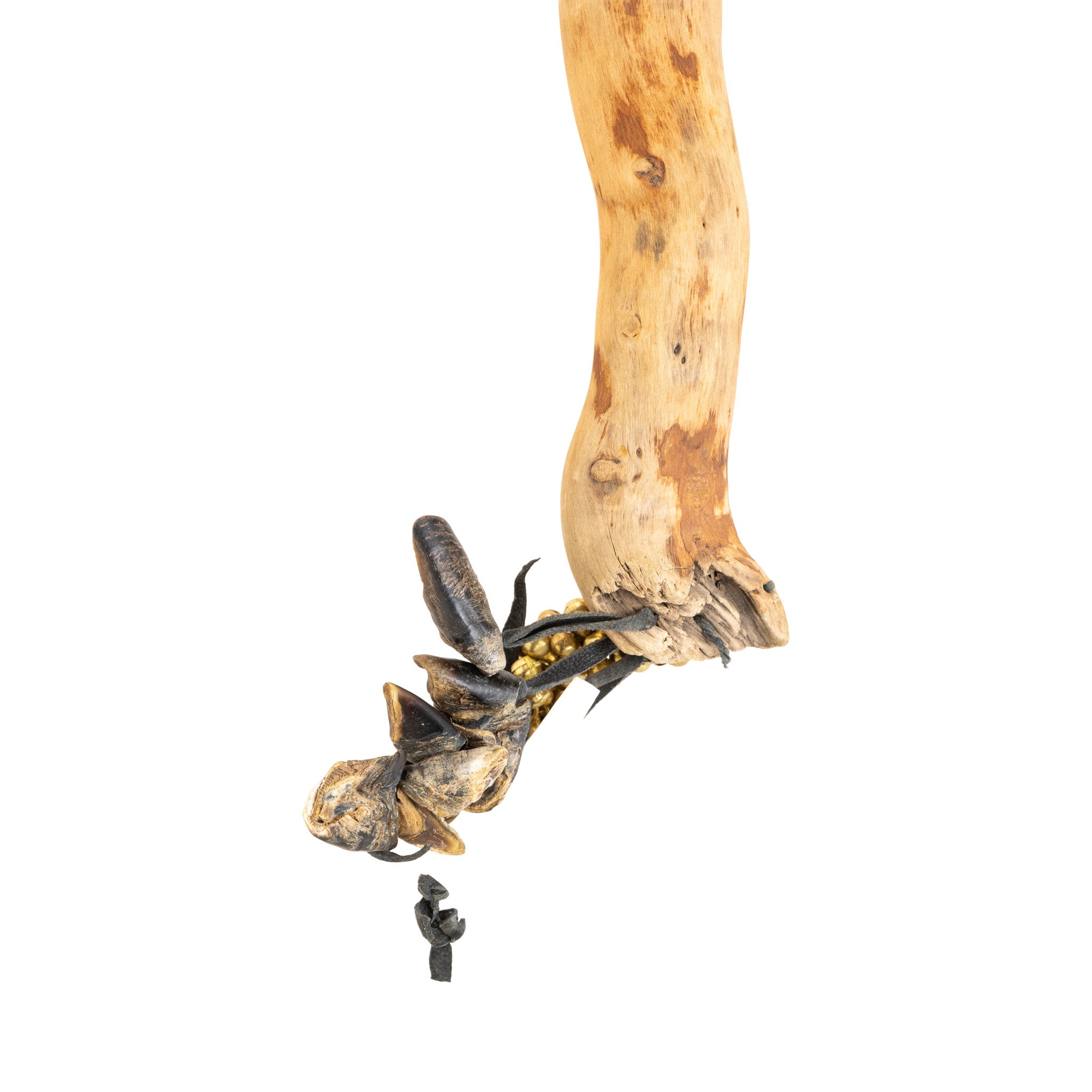 Puyallup Dance Rattles