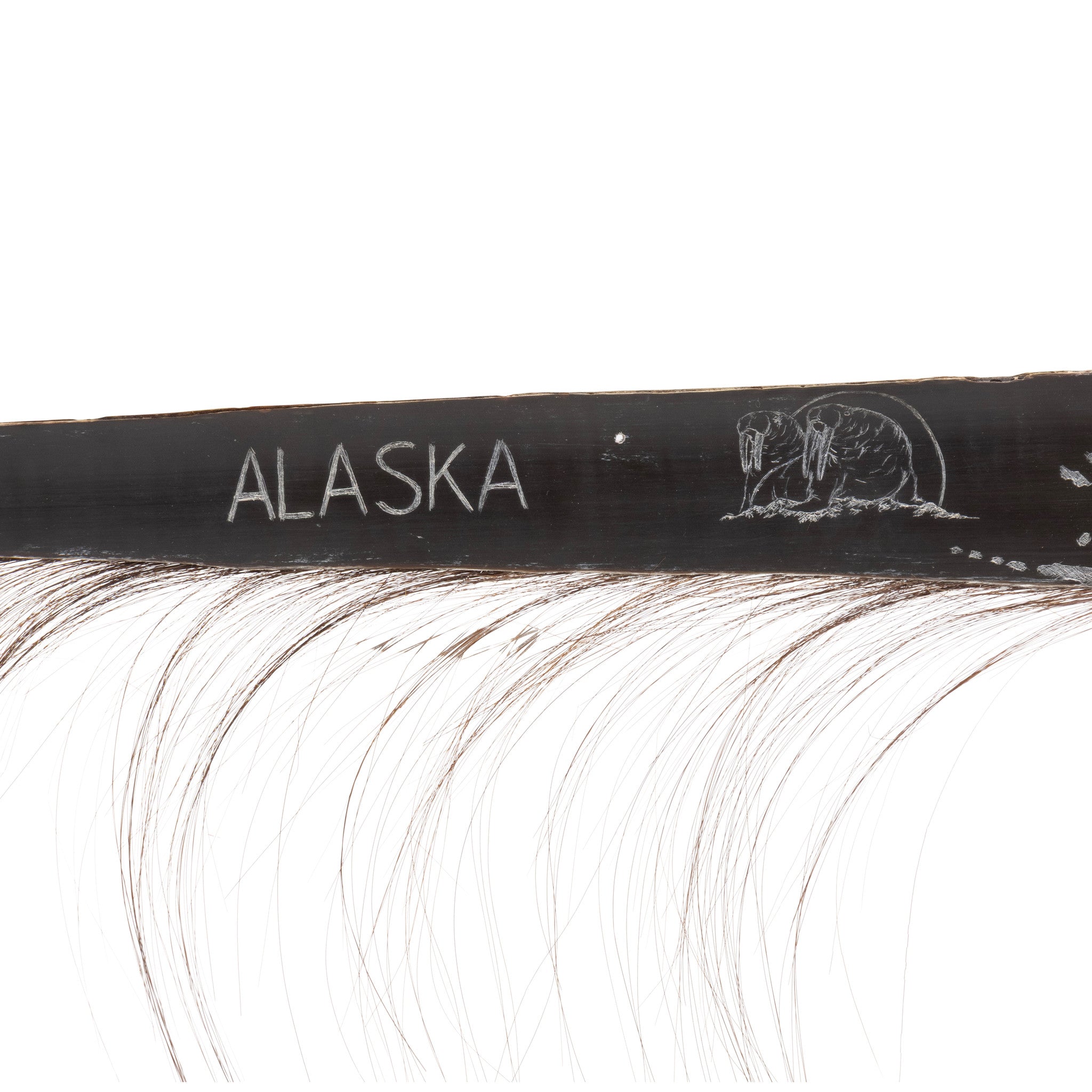 Alaskan Baleen