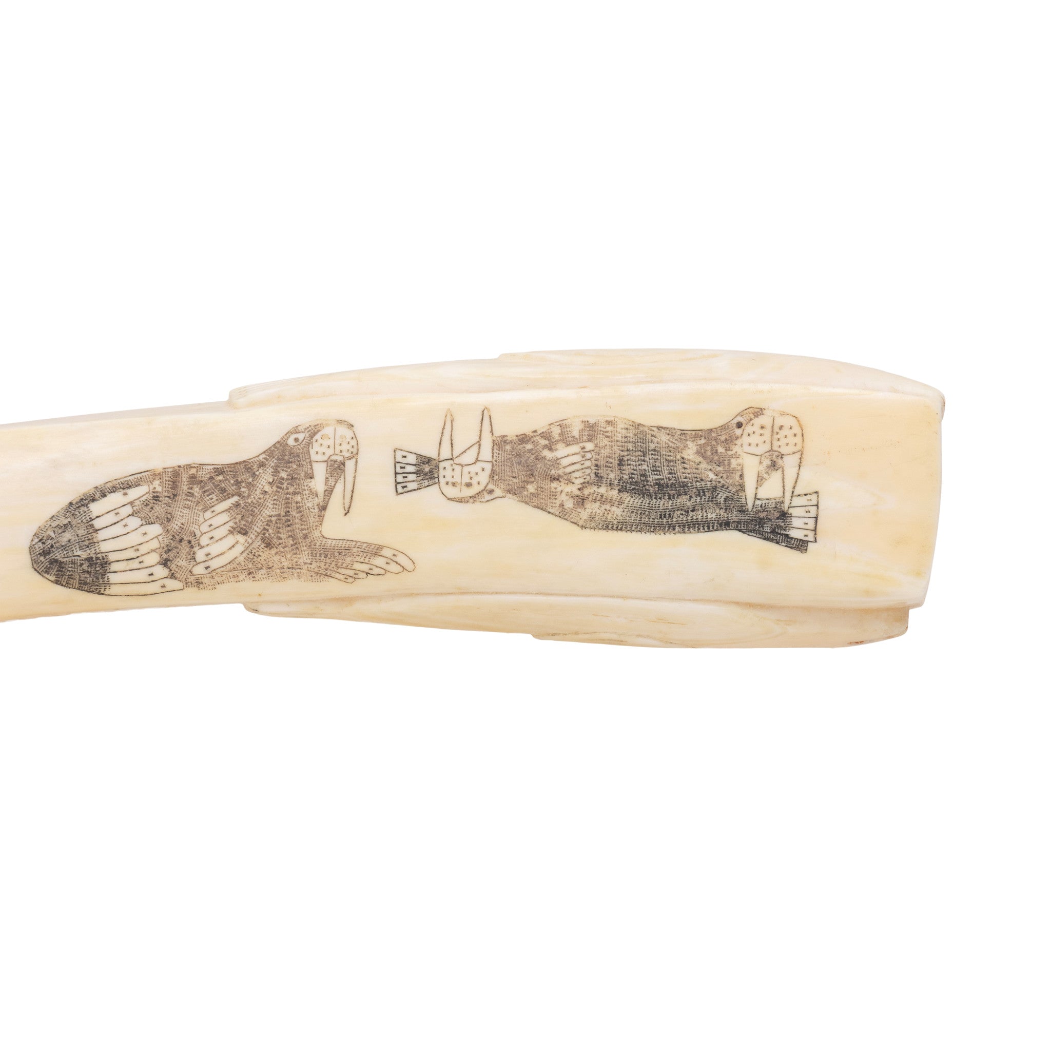 Walrus Ivory Cribbage Board