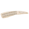 Walrus Ivory Cribbage Board