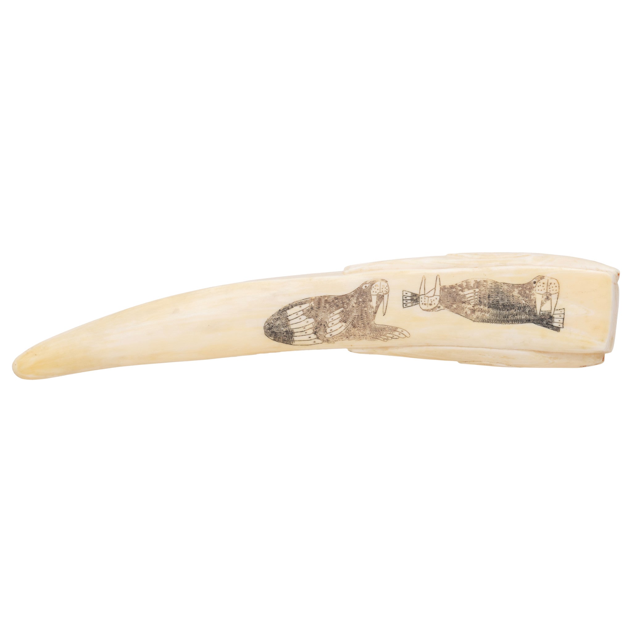 Walrus Ivory Cribbage Board
