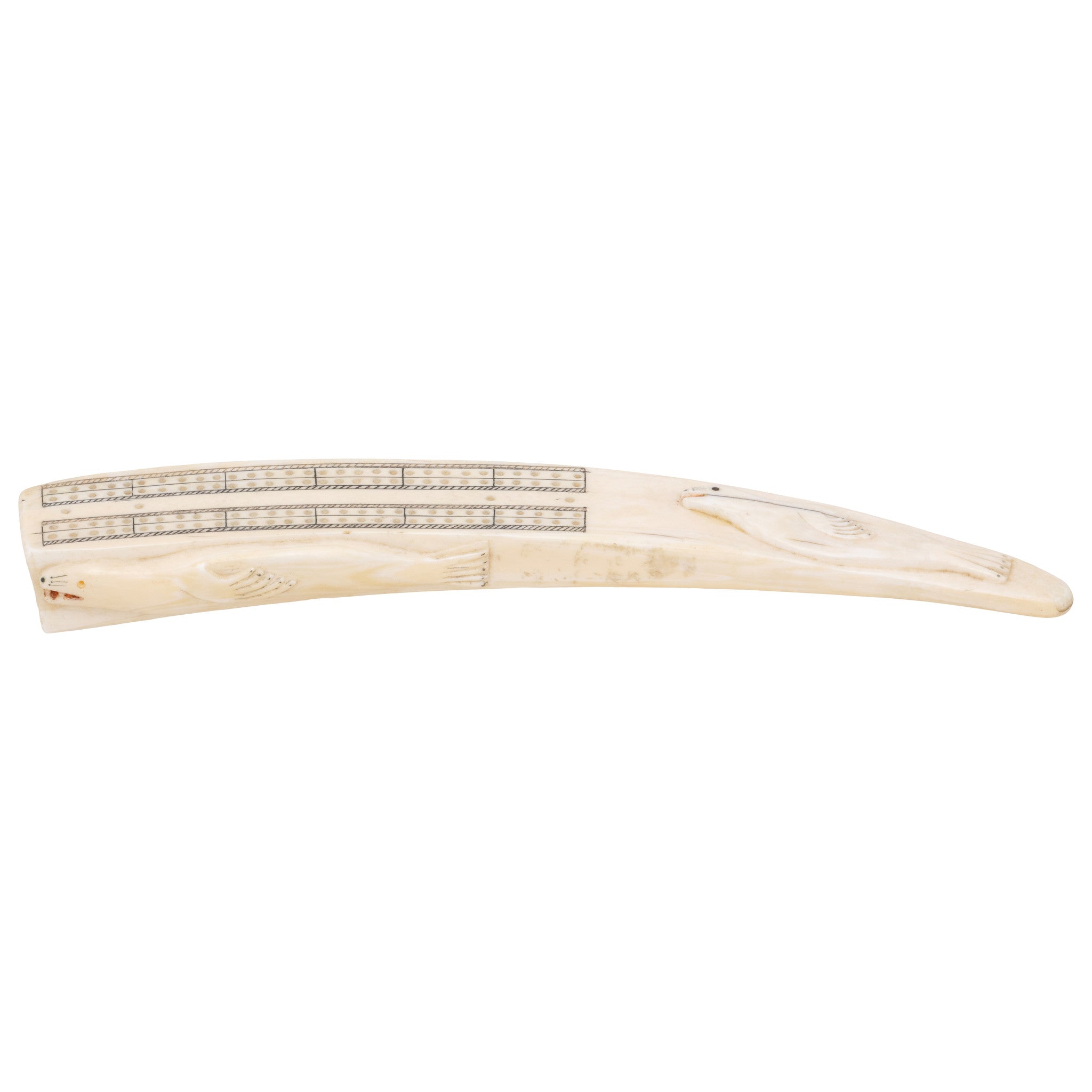 Walrus Ivory Cribbage Board