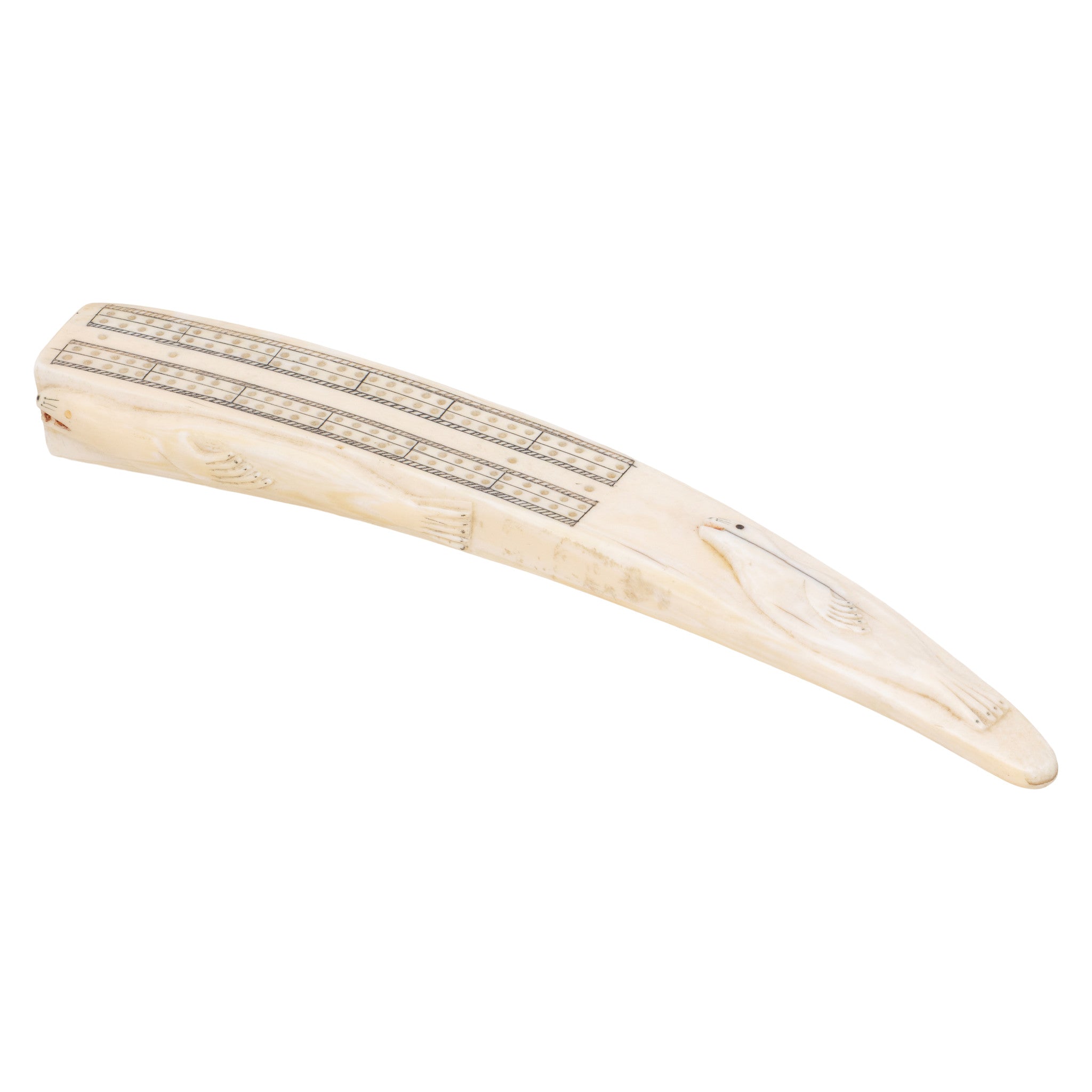 Walrus Ivory Cribbage Board