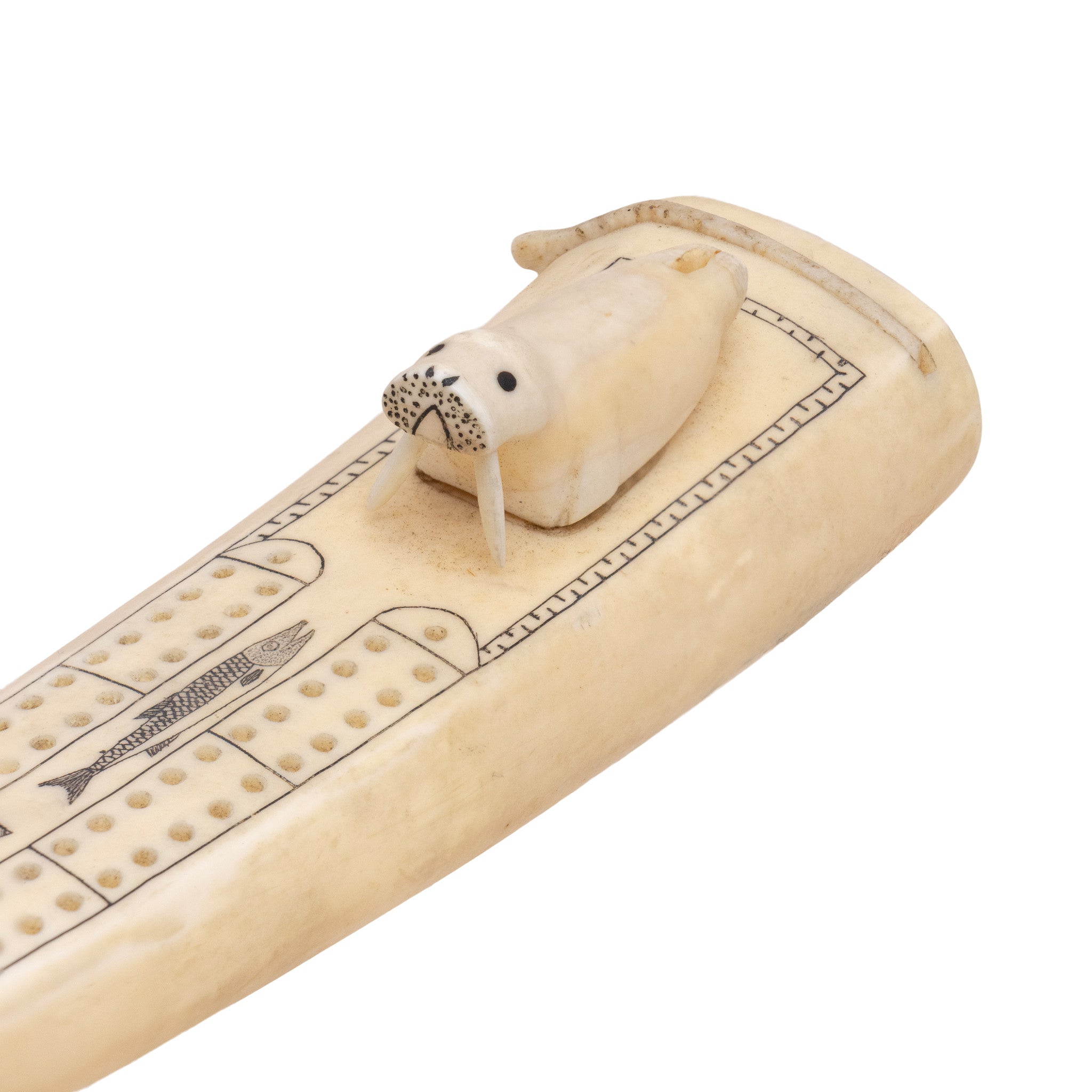 Walrus Ivory Cribbage Board