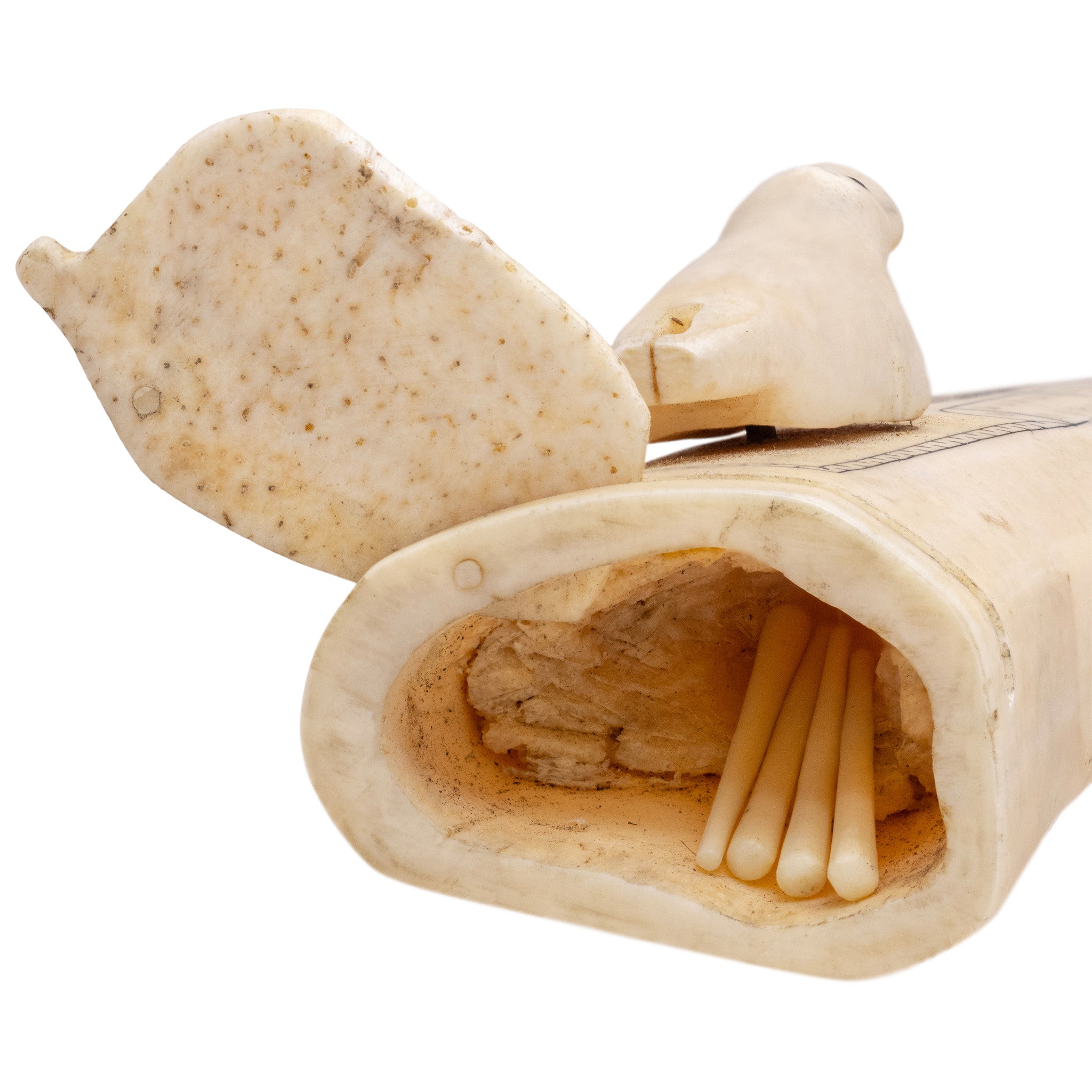 Walrus Ivory Cribbage Board