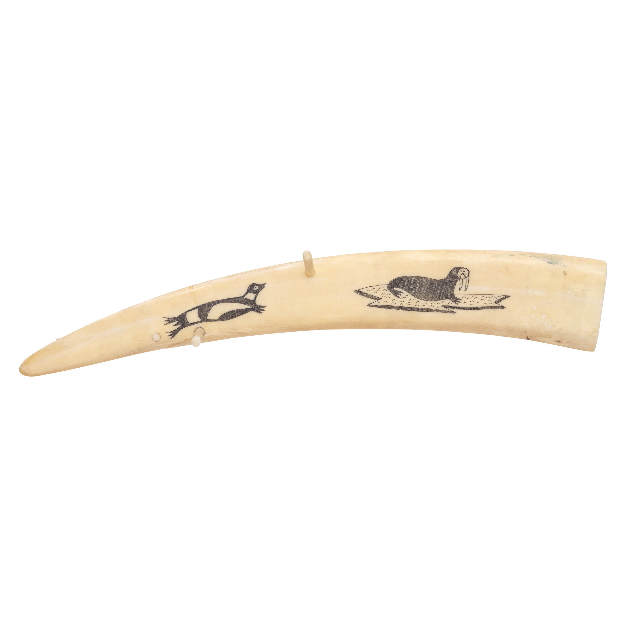 Walrus Ivory Cribbage Board