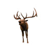 Life Size Bronze Elk Sculpture