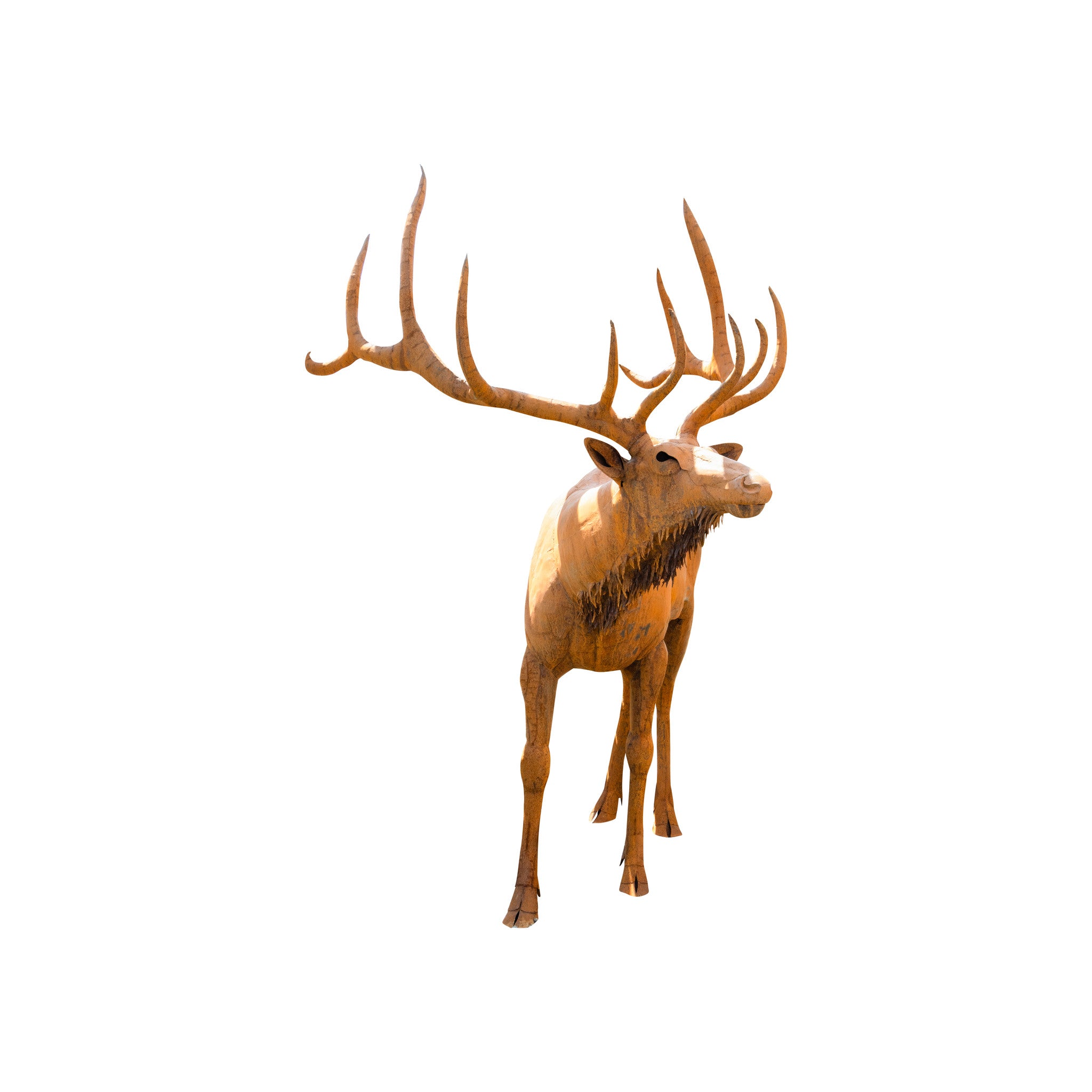 Life Size Bronze Elk Sculpture