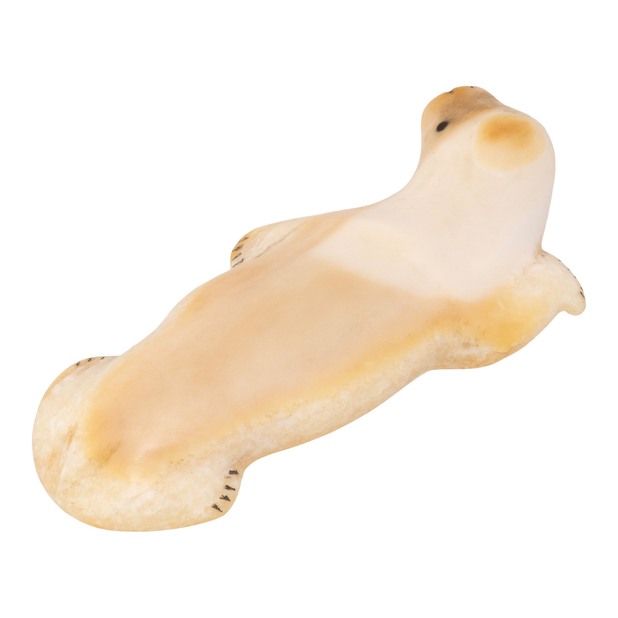 Miniature Inuit Fossilized Ivory Seal