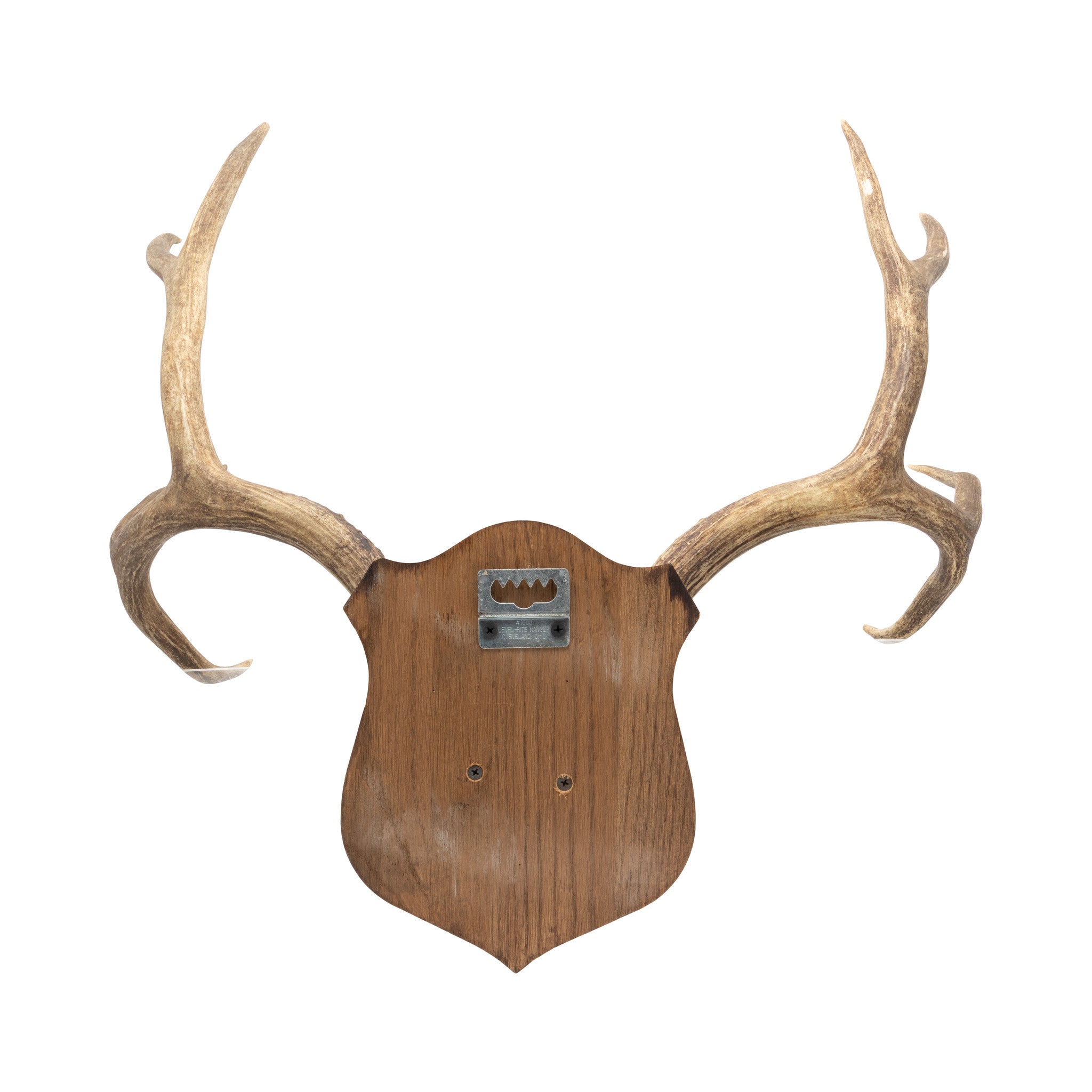 Mule Deer Rack