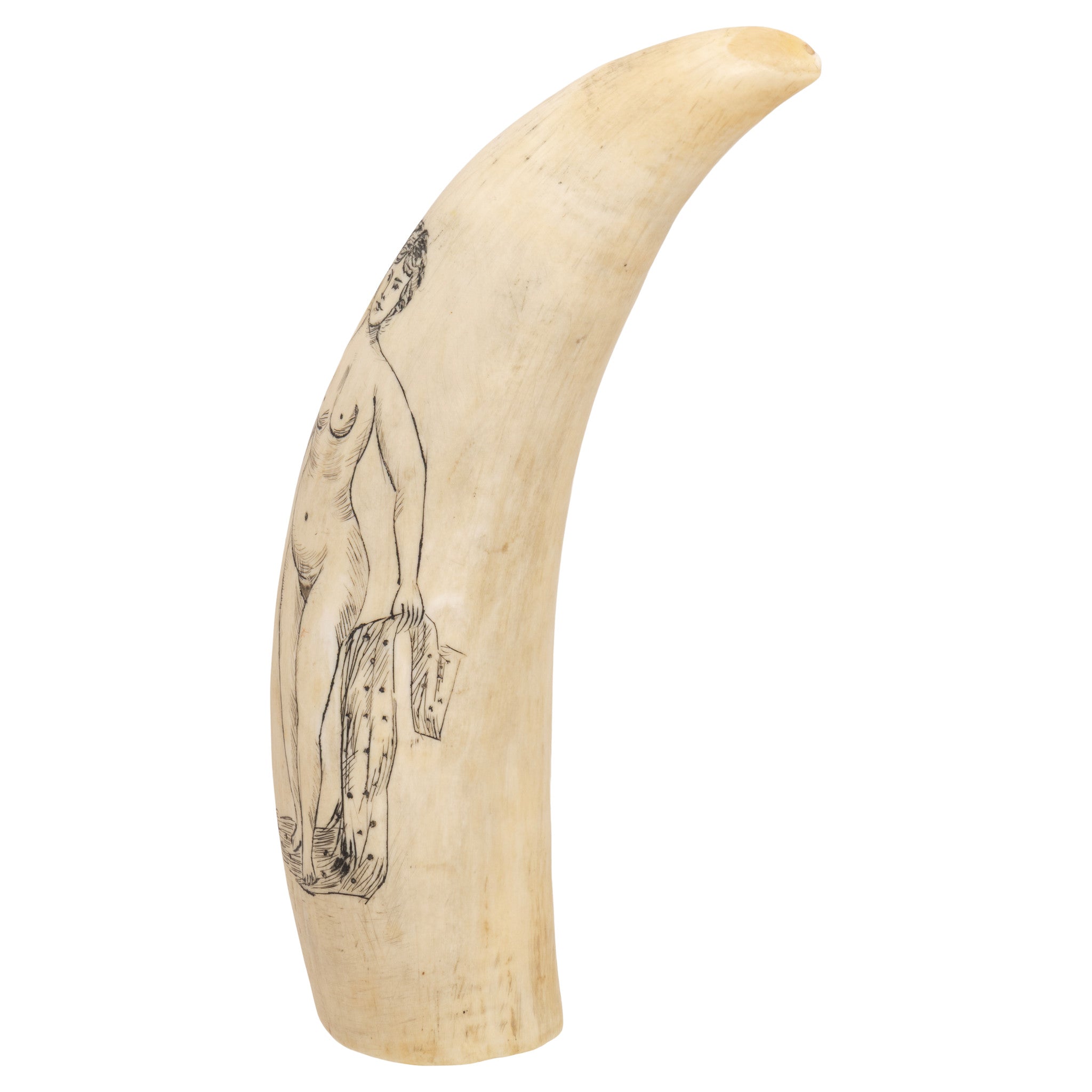 Victorian Evocative Sperm Whale Tooth