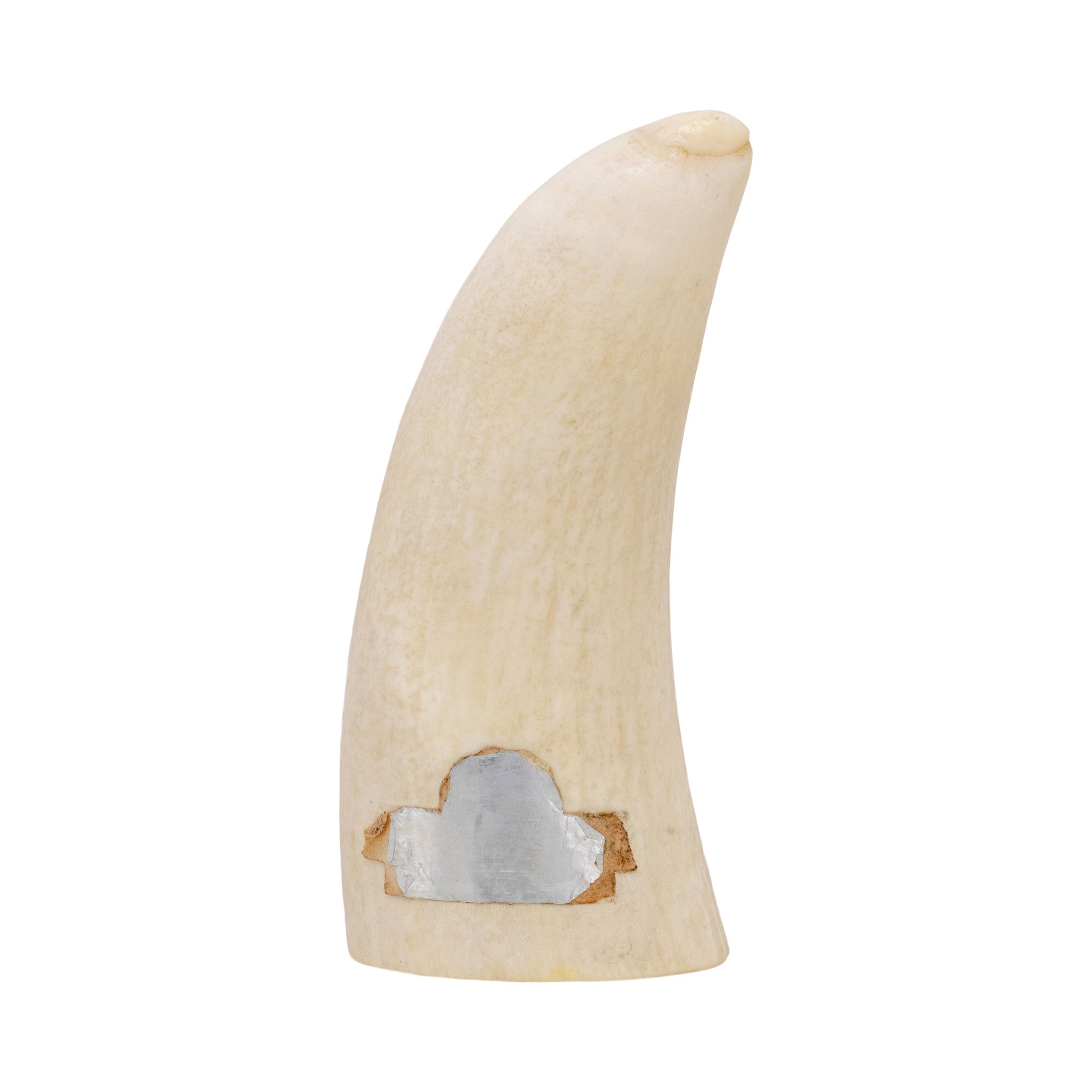 Alaskan Billiken