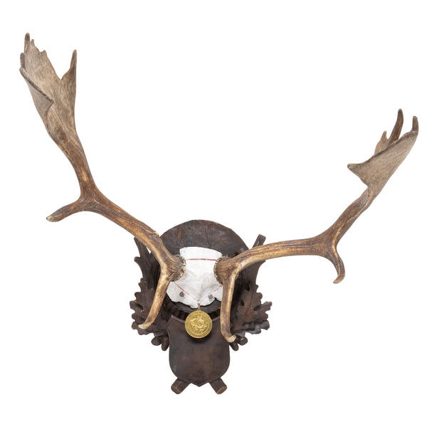 Black Forest Exkartsau Ferdinand Castle Fallow Deer Mount, Furnishings, Black Forest, Plaque