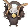 Black Forest Exkartsau Ferdinand Castle Fallow Deer Mount