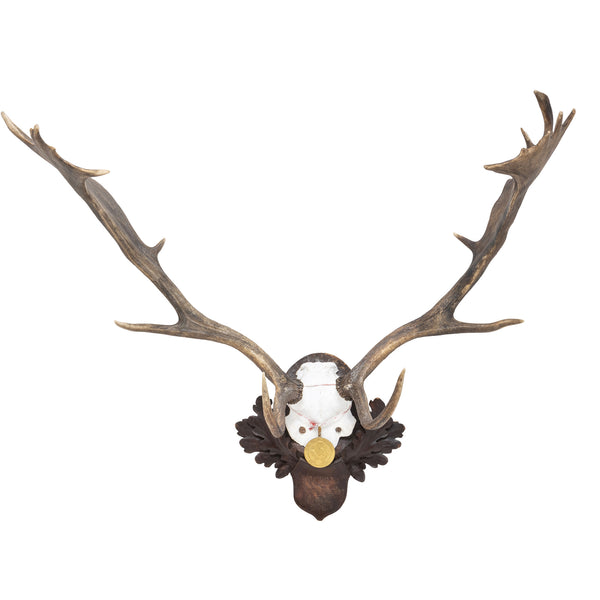 Black Forest Exkartsau Ferdinand Castle Fallow Deer Mount, Furnishings, Black Forest, Plaque
