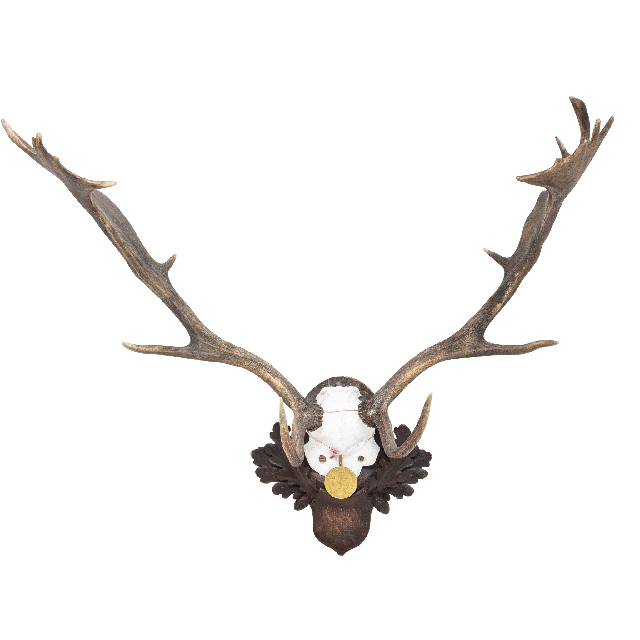 Black Forest Exkartsau Ferdinand Castle Fallow Deer Mount, Furnishings, Black Forest, Plaque