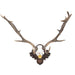 Black Forest Exkartsau Ferdinand Castle Fallow Deer Mount, Furnishings, Black Forest, Plaque