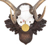 Black Forest Exkartsau Ferdinand Castle Fallow Deer Mount