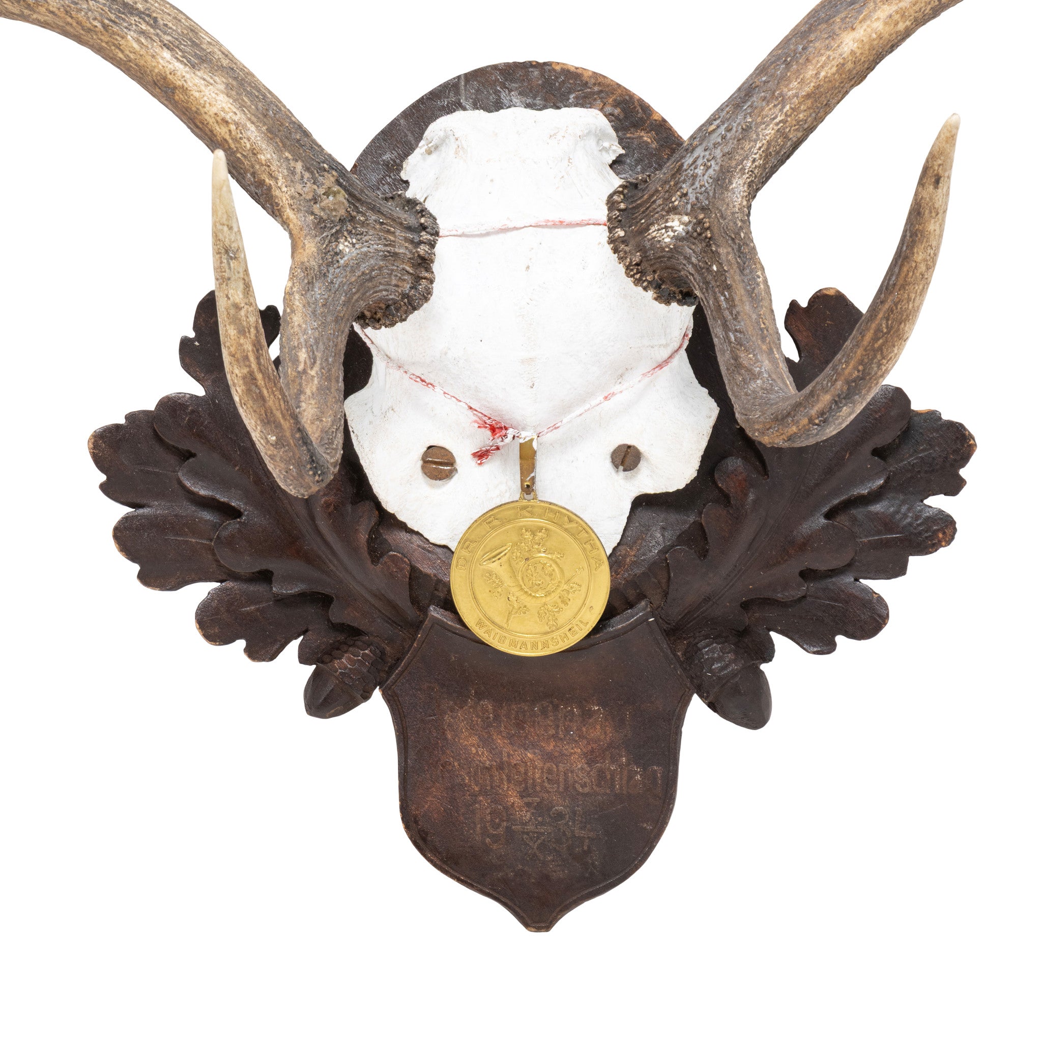 Black Forest Exkartsau Ferdinand Castle Fallow Deer Mount