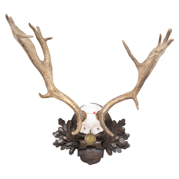 Black Forest Exkartsau Ferdinand Castle Fallow Deer Mount, Furnishings, Black Forest, Plaque