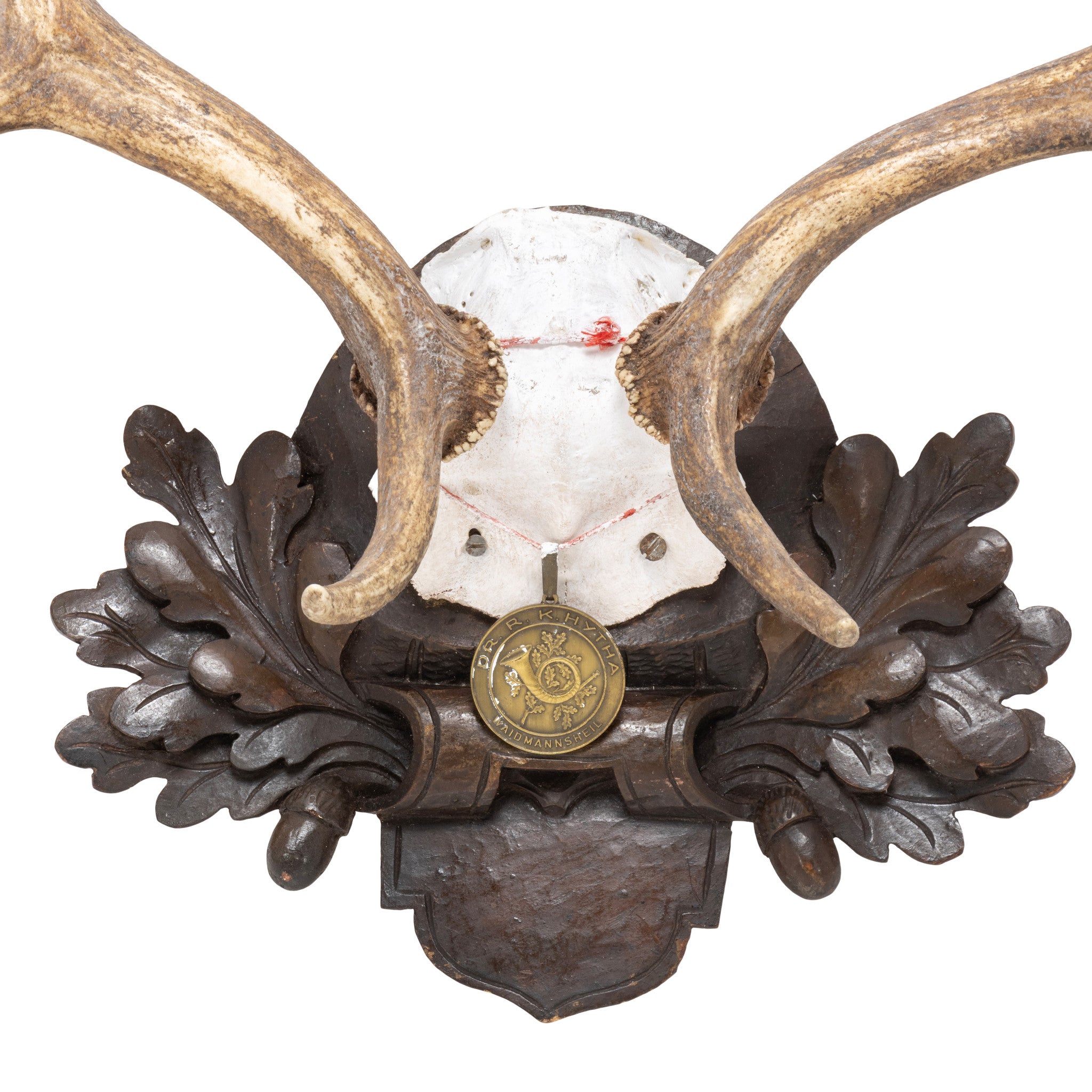 Black Forest Exkartsau Ferdinand Castle Fallow Deer Mount