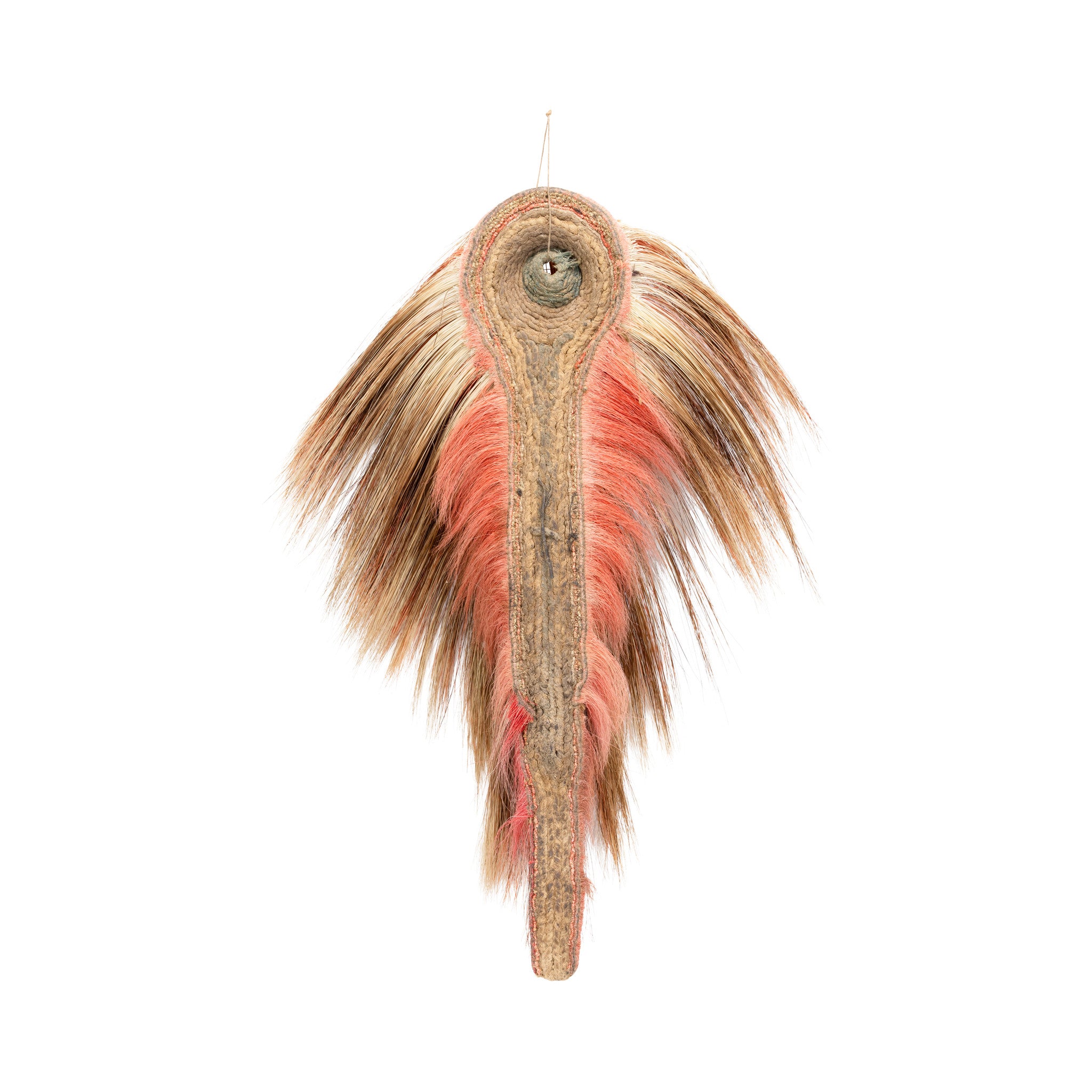 Nez Perce Roach
