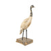 Canada Goose Decoy, Sporting Goods, Hunting, Waterfowl Decoy