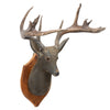 Folk Art Adirondack Deer Head Trophy Mount