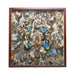 Museum Display of Exotic Butterflies, Furnishings, Decor, Other