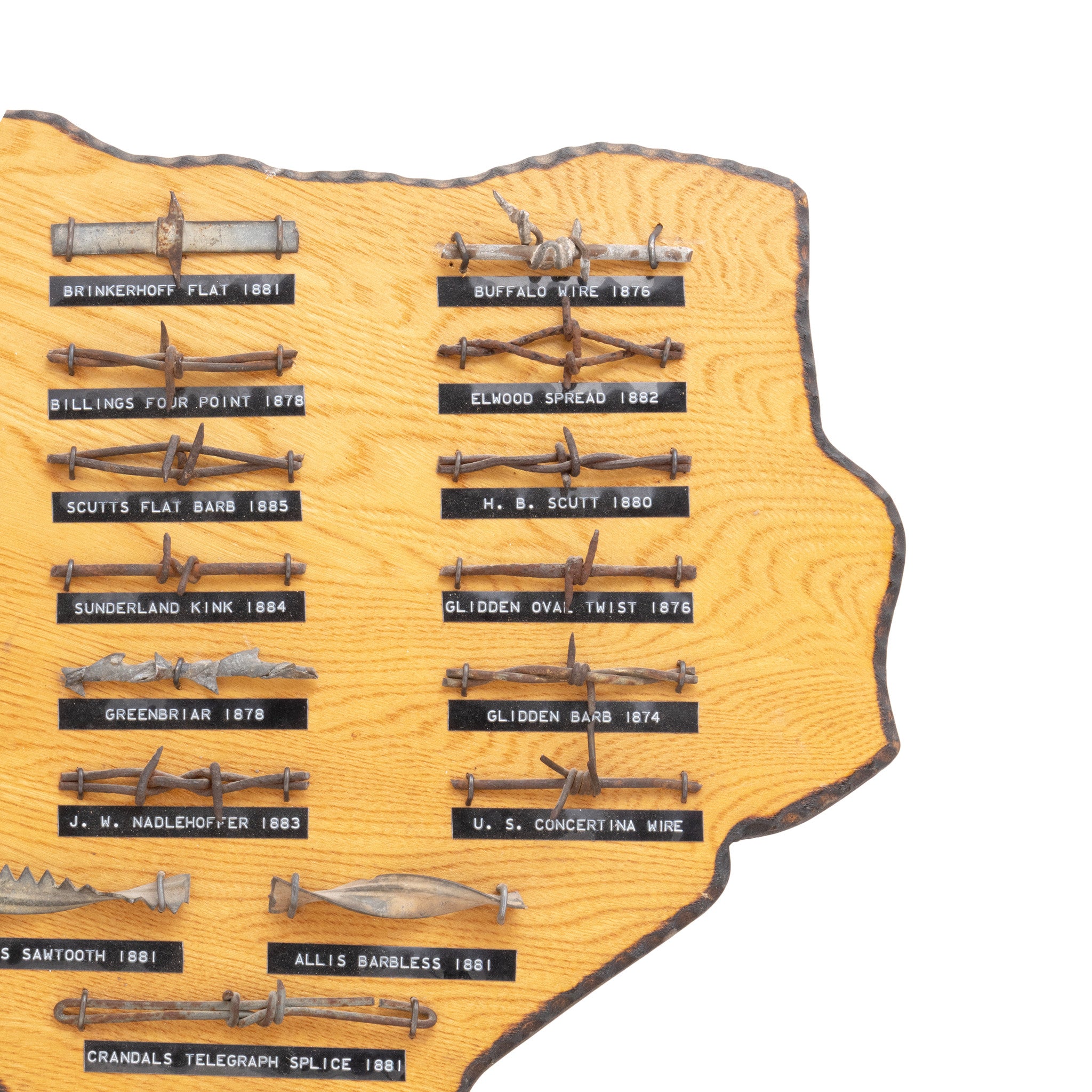 Texas Shaped Barbed Wire Display