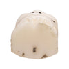 Miniature Walrus Ivory Billiken Charm